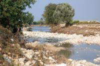 Alluvione 2003 Cassibile 007